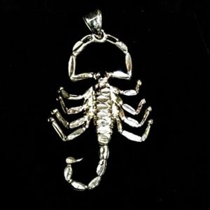 925 silver scorpion charm